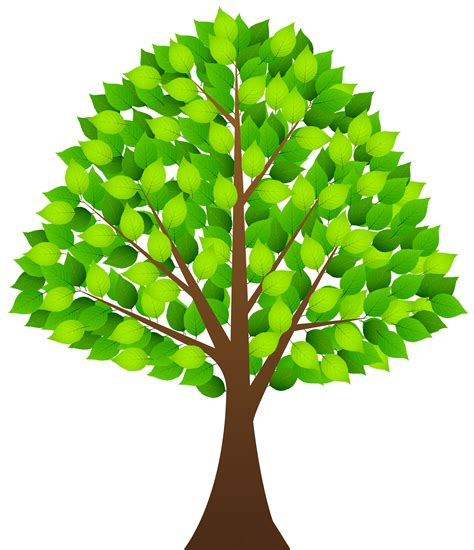 tree clip art|tree clip art no background.